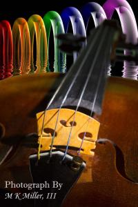 New Violin And Music Photographs